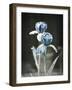 Infinite Possibilities-Christy Ann-Framed Giclee Print