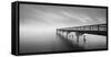 Infinity Panoramic-Moises Levy-Framed Stretched Canvas