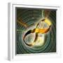 Infinity Symbol And Black Hole-PASIEKA-Framed Premium Photographic Print