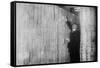 Inflation in Weimar Germany Has Paper Money Stacked from Floor to Ceiling in a Berlin Bank-null-Framed Stretched Canvas