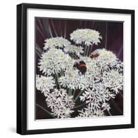 Inflorescence, 2015-Helen White-Framed Premium Giclee Print