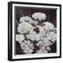 Inflorescence, 2015-Helen White-Framed Giclee Print