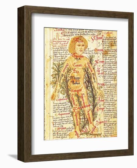 Influence of the Stars on Illnesses of the Human Body, from "Tractatus de Pestilencia"-M. Albik-Framed Giclee Print