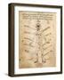 Influence of Various Kabalistic Signs on Organs of Human Body-null-Framed Giclee Print