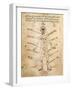 Influence of Various Kabalistic Signs on Organs of Human Body-null-Framed Giclee Print