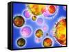 Influenza Virus Particles-PASIEKA-Framed Stretched Canvas