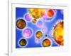 Influenza Virus Particles-PASIEKA-Framed Photographic Print