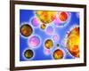 Influenza Virus Particles-PASIEKA-Framed Photographic Print