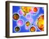 Influenza Virus Particles-PASIEKA-Framed Photographic Print