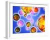 Influenza Virus Particles-PASIEKA-Framed Photographic Print