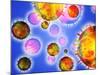 Influenza Virus Particles-PASIEKA-Mounted Photographic Print