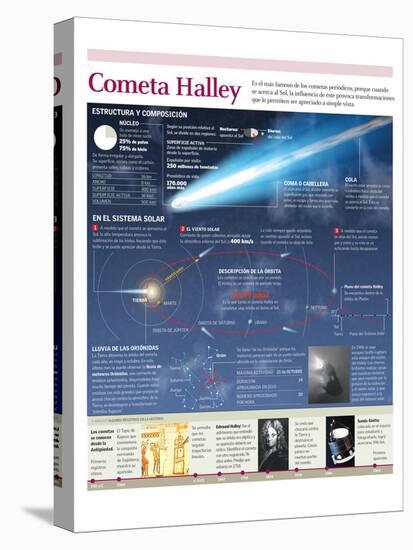 Infografía De La Composición Y Órbita Del Cometa Halley-null-Stretched Canvas