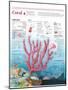 Infografía De La Estructura, El Hábitat Y El Ciclo Reproductivo Del Coral-null-Mounted Poster