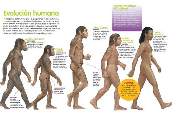 Poster, , large