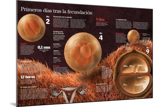 Poster, , large