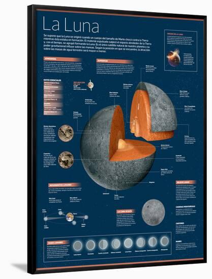 Infografía De La Luna: Atmósfera, Composición, Los Movimientos Lunares, Las Fases Lunares Y Más-null-Framed Poster