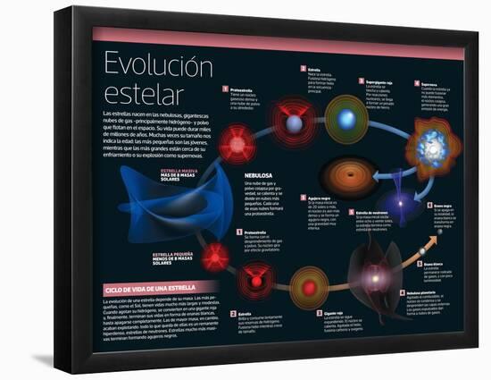 Infografía De Las Estrellas: Desde Que Nacen En Las Nebulosas, Hasta Las Más Grandes, Supernovas-null-Framed Poster