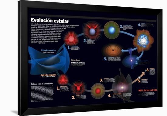 Infografía De Las Fases Por Las Que Pasa Una Estrella Desde Su Origen Hasta Su Desaparición-null-Framed Poster