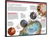 Infografía De Las Supernovas, Extraordinarias Explosiones De Estrellas Gigantes-null-Framed Poster