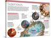 Infografía De Las Supernovas, Extraordinarias Explosiones De Estrellas Gigantes-null-Stretched Canvas