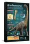 Infografía Del Brachiosaurus, Un Gigantesco Herbívoro Que Vivió a Finales Del Período Jurásico-null-Framed Stretched Canvas