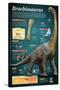 Infografía Del Brachiosaurus, Un Gigantesco Herbívoro Que Vivió a Finales Del Período Jurásico-null-Stretched Canvas