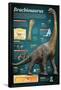 Infografía Del Brachiosaurus, Un Gigantesco Herbívoro Que Vivió a Finales Del Período Jurásico-null-Framed Poster