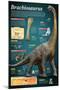 Infografía Del Brachiosaurus, Un Gigantesco Herbívoro Que Vivió a Finales Del Período Jurásico-null-Mounted Poster