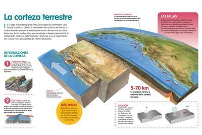 Cómo Se Clasifican Los Movimientos De La Corteza Terrestre