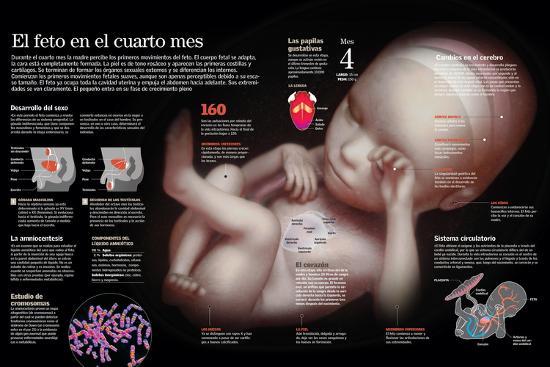 Poster, , large