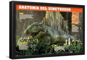 Infografía Del Dimetrodon, Depredador Del Pérmico (Era Paleozoica)-null-Framed Poster