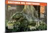 Infografía Del Dimetrodon, Depredador Del Pérmico (Era Paleozoica)-null-Mounted Poster