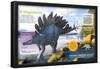 Infografía Del Dinosaurio Stegosaurus Que Vivió En El Período Jurásico-null-Framed Poster