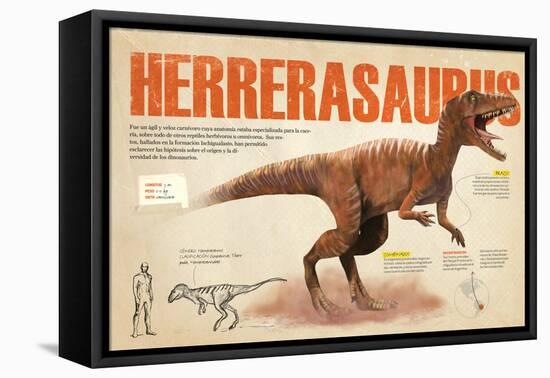 Infografía Del Herrerasaurus, Carnívoro Del Triásico, Cuyos Fósiles Fueron Hallados En Argentina-null-Framed Stretched Canvas