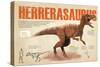 Infografía Del Herrerasaurus, Carnívoro Del Triásico, Cuyos Fósiles Fueron Hallados En Argentina-null-Stretched Canvas