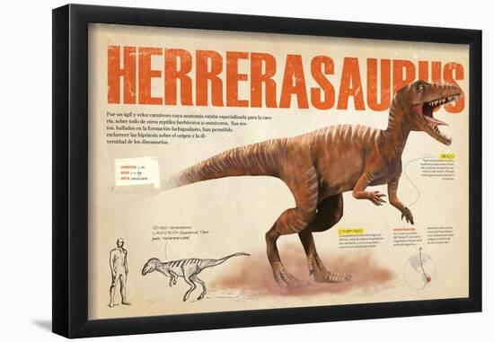 Infografía Del Herrerasaurus, Carnívoro Del Triásico, Cuyos Fósiles Fueron Hallados En Argentina-null-Framed Poster
