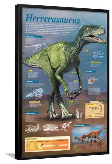 Poster, , large