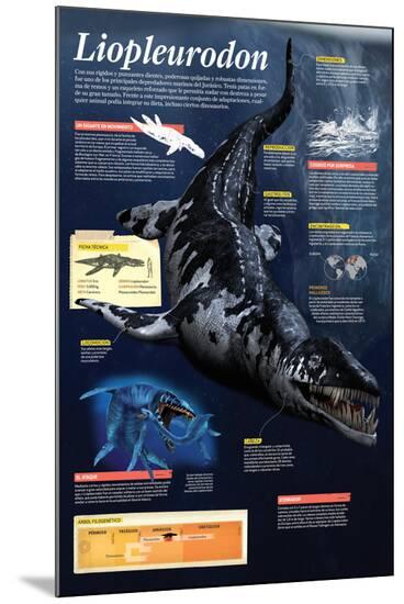 Poster, , large