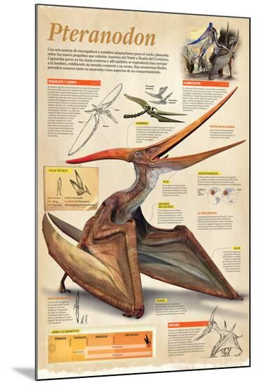 Poster, , large