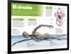 Infografía Del Sistema Circulatorio. Detalle Del Recorrido De La Sangre-null-Framed Poster