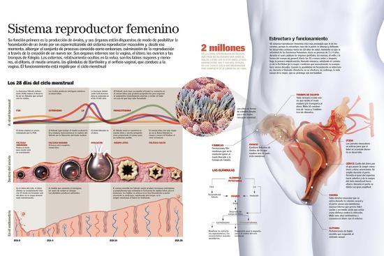 Poster, , large