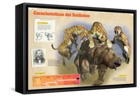 Infografía Del Smilodon, Felino Prehistórico Del Pleistoceno-null-Framed Stretched Canvas