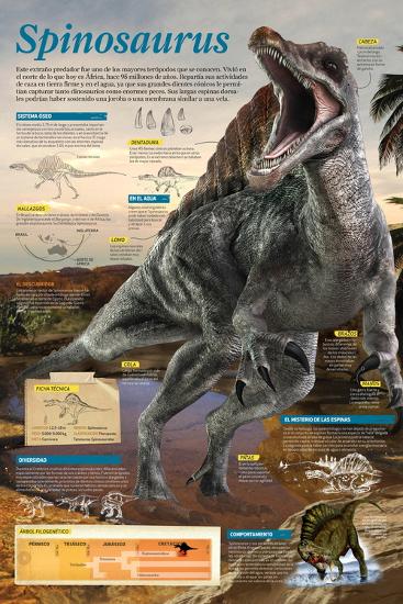 Poster, , large