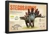 Infografía Del Stegosaurus, Dinosaurio Perteneciente a Los Ornitisquios, Herbívoro Del Jurásico-null-Framed Poster
