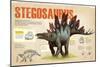 Infografía Del Stegosaurus, Dinosaurio Perteneciente a Los Ornitisquios, Herbívoro Del Jurásico-null-Mounted Poster