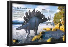 Infografía Del Stegosaurus, Un Dinosaurio Herbívoro Que Vivió En El Jurásico Tardío-null-Framed Poster