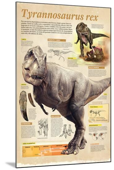 Poster, , large