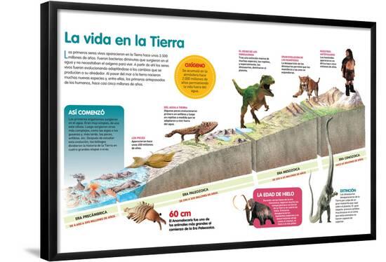 Poster, , large