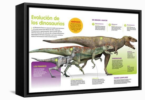 Infografía Que Muestra La Evolución De Los Dinosaurios a Lo Largo De La Era Mesozoica-null-Framed Stretched Canvas