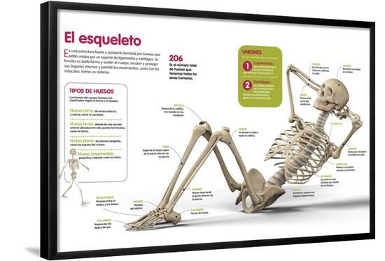 Poster, , large